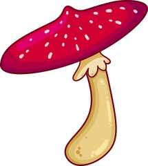 Mushroom red and white