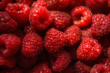 macro photo of ripe red raspberry