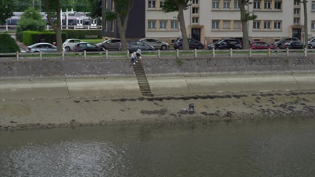 A Man is Looking for Lugworms in the River bed at Low Tide in Deauville Sur Mer, France
