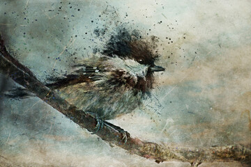 Bird tomtit sitting on a branch. Watercolor digital illustration. Splashes of paint. Expressive drawing style. Grunge textures. Multicolored explosions of paint..