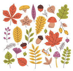 Obraz premium Cute flat set with autumn elements. Vector colored leaves, acorns, mushrooms.