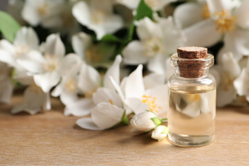 Obraz na płótnie Canvas Jasmine essential oil and fresh flowers on wooden table, space for text