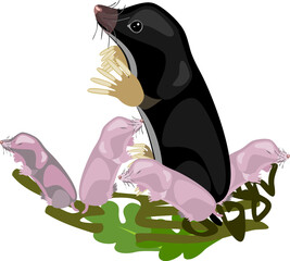 Cartoon black mole with newborn pink babies isolated on white background - obrazy, fototapety, plakaty