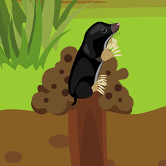 Cartoon black mole on molehill in natural habitat