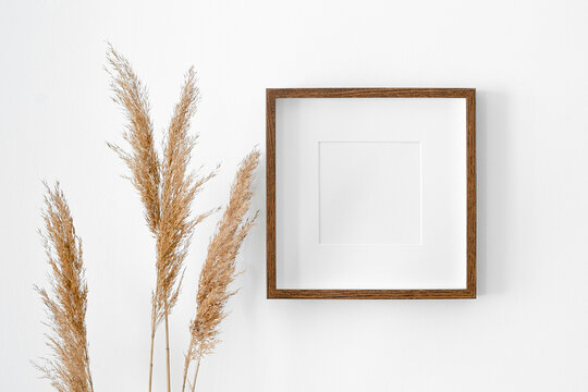 Blank square frame with passepartout mockup on white wall with dry plant decorations. Minimalistics style interior with artwork mockup.