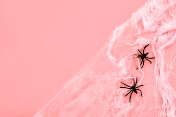 Pink Halloween background with realistic spiders