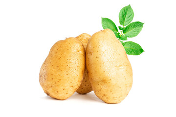 Raw potatoes isolated on white background