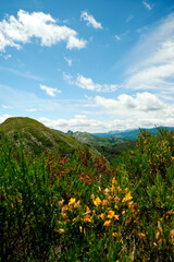 Fototapeta premium landscape with sky