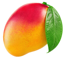 Mango isolated on white background