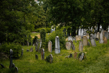 Mikulov, South Moravian Region, Czech Republic, 05 July 2021: Old tombs at historic Jewish Cemetery, Grey and white tombstones historical monuments in green grass at summer sunny day