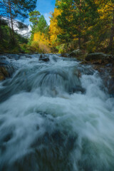 River waterfall landscape in autumn forest with orange and yellowish leaves of the trees at Guadarrama national park, Lozoya river, Spain