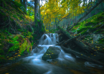 River waterfall landscape in autumn forest with orange and yellowish leaves of the trees at Guadarrama national park, Lozoya river, Spain