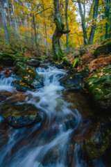 River waterfall landscape in autumn forest with orange and yellowish leaves of the trees at Guadarrama national park, Lozoya river, Spain