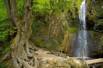 Naklejka na ściany i meble Waterfall Velika Ripaljka near Sokobanja, Serbia