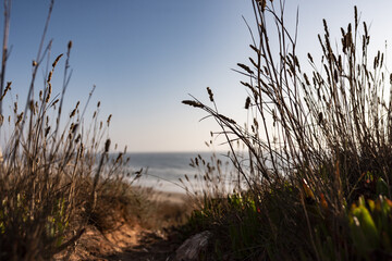 Obraz premium Beautiful sunset at Praia do Norte in Nazaré Portugal. Place where the biggest waves in the world break. Several surfing world records.