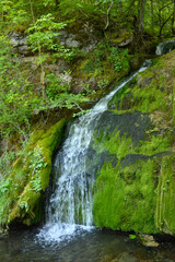 Waterfall Mala Ripaljka near Sokobanja, Serbia