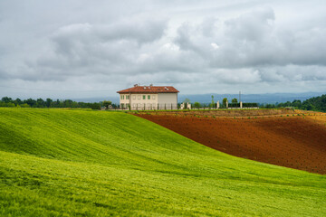 Vineyards of Monferrato near Cuccaro at springtime