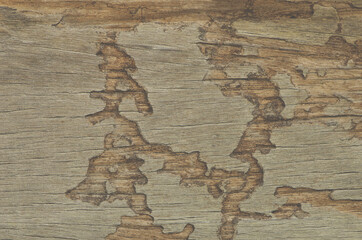 Dark wood texture background surface with old natural pattern.