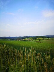 Abendsonne auf dem Sand bei Wolfsburg-Unkeroda