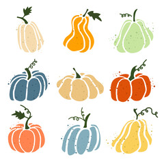 Set of pumpkins isolated on white background. Elements for autumn decorative design, halloween invitation, harvest thanksgiving. Vector illustration