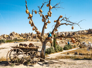 The branches of tree decorated with evil eye amulets, Goreme, Cappadocia, Turkey