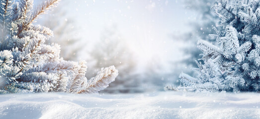 Blue winter christmas nature background frame, wide format. Snow-covered fir branches, snowdrift...