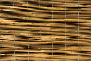 Reed curtain background, closeup texture of dry reeds