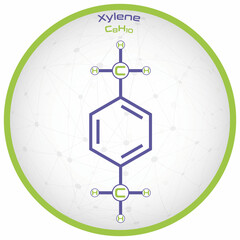 Large and detailed infographic of the molecule of Xylene