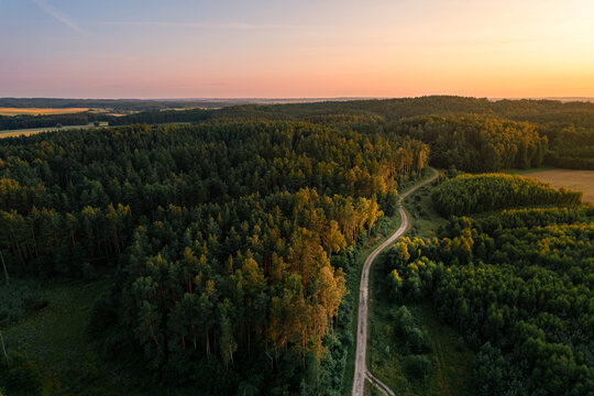 Aerial drone view of forest road in rural countryside during golden summer sunset © cronislaw