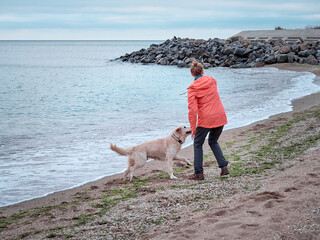 Girl with retriever dog playing on the beach at sunset.