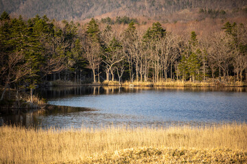 北海道の大自然