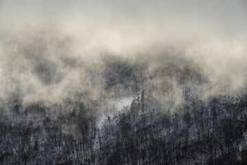 Winter mountain forest shrouded in mist