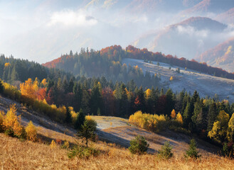 Landscape with amazing mountains, fields and forests covered with morning fog. Beautiful autumn...