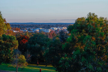 Panoramic view of Suburban Western and South Western Sydney housing, roof tops taken from a Park in Ashbury at Sunset NSW Australia