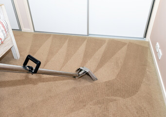 Carpet Steam Cleaning - professional carpet cleaning in the home