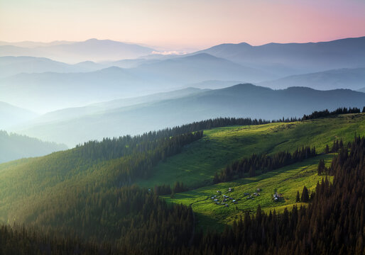 Spring foggy morning. Landscape with high mountains and green forest. Panoramic view. Scenery of village. The meadow with green grass. Wallpaper background. Touristic place Carpathian park. © Vitalii_Mamchuk