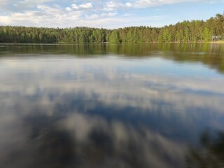 Forest lake with blue water. Sunny summer day in the calm smooth water of the lake reflects the blue sky and white clouds and the green forest standing along the shores of the lake.