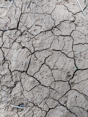 dry earth