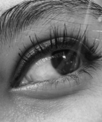 eye of the person