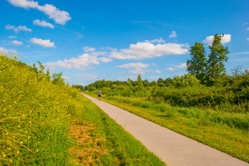Fototapeta na wymiar Path in a sunlit green forest in bright sunlight in summer, Baarn, Lage Vuursche, Utrecht, The Netherlands, August 15, 2021