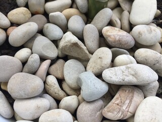 River stones are commonly used as planting media to be placed on pots