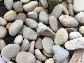 River stones are commonly used as planting media to be placed on pots