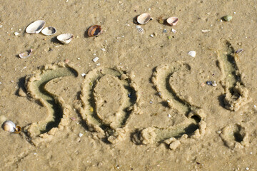 Fototapeta na wymiar The inscription SOS (Save Our Souls) on the sandy beach. Pollution of the coast.