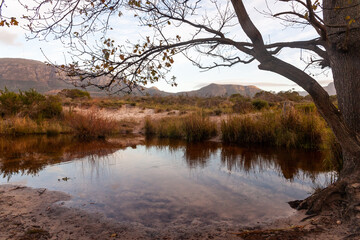 The Tokai forest park which is made up of different sections of pine trees, fynbos and rivers is a place where many people go for walks and activities.