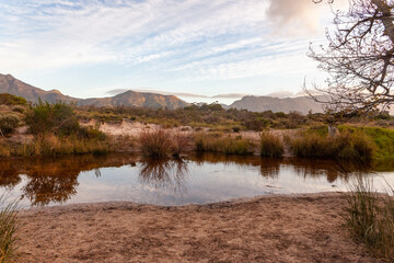 The Tokai forest park which is made up of different sections of pine trees, fynbos and rivers is a place where many people go for walks and activities.