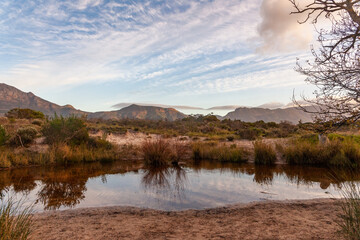 The Tokai forest park which is made up of different sections of pine trees, fynbos and rivers is a place where many people go for walks and activities.