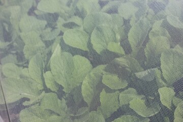 camouflage pattern background