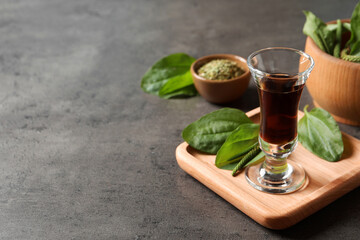 Broadleaf plantain tincture on grey table, space for text