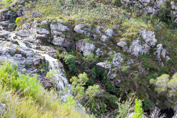Fototapeta na wymiar Tiergat waterfall near Swellendam flows from a natural spring at the top of the mountain into the Buffelsjag Rivier.