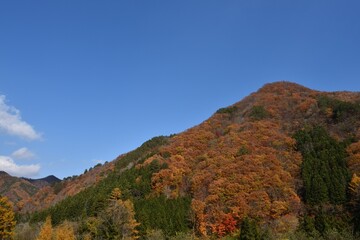 Obraz premium Mountains covered with red trees in autumn